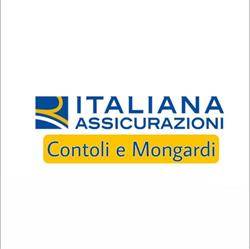 Assicurazione Italiana Contoli & Mongardi, Lugo orari di apertura