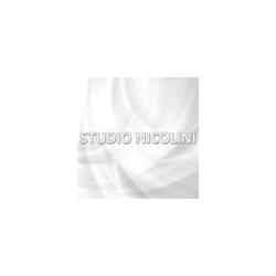 Studio Nicolini, Como orari di apertura