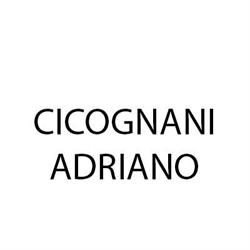 Cicognani Adriano, Alfonsine orari di apertura