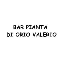 Bar Pianta, Torno orari di apertura
