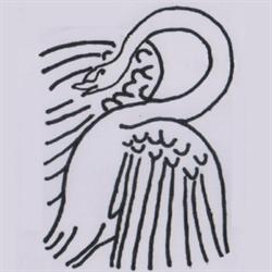 Cigno Fregene, Fiumicino orari di apertura