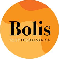 Elettrogalvanica Bolis SRL Zincatura Elettrolitica, Calolziocorte orari di apertura