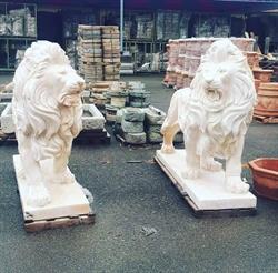 Mercatino dell' Usato & Antiquariato Portobello New Sas, Grosseto orari di apertura