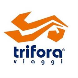 Trifora Viaggi, Andria orari di apertura