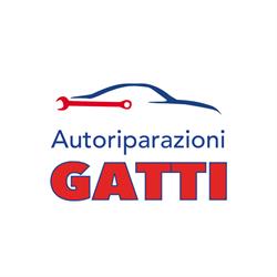Autoriparazioni Gatti Di Gatti Gianluca, San Zeno Naviglio orari di apertura