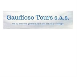 Gaudioso Group s.r.l., Palmi orari di apertura