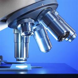 Analisi Cliniche Dott.ssa Cascio Liliana & C SAS Specialista in Microbiologia, Collesano orari di apertura