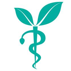 Farmacia Pinna Dr Alessandro Farmacia, Siamanna orari di apertura