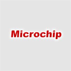 Microchip Personal Computer Di Luigi Fiumene, Bosa orari di apertura