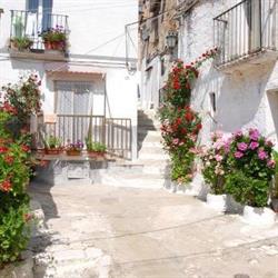 Agenzia Immobiliare Dante Srl, Cagnano Varano orari di apertura