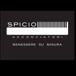 Acconciatori Spicio Di Dalsass Daniela, San Martino di Lupari orari di apertura