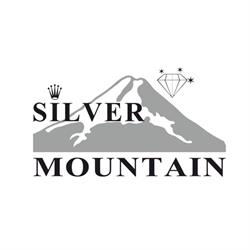 Silver Mountain Di Di Secci Livio, Taurisano orari di apertura
