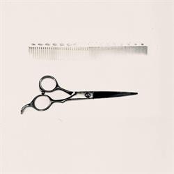 Denis Cinel Hairshop, Montebelluna orari di apertura