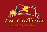 Azienda Agricola La Collina Sas, Monte Compatri orari di apertura