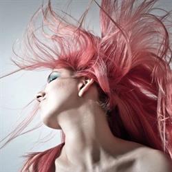 Studio Hair Unisex, Trieste orari di apertura