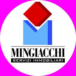 Mingiacchi Servizi Immobiliari, Nettuno orari di apertura