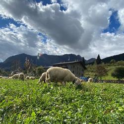Agriturismo Ca' Di Racc, Valgoglio orari di apertura
