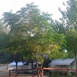 camperstopitaly Pontecagnano, Marina Di Pontecagnano - Orari di apertura
