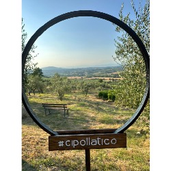 Agricampeggio Cipollatico, Montespertoli orari di apertura