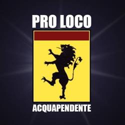 Ass. Pro Loco Acquapendente Riccetti Roberto, orari di apertura