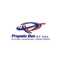 Autolinee Propato Bus, Viggianello orari di apertura