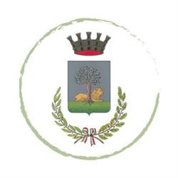 Comune Di Alvito, orari di apertura
