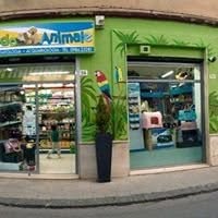 Mondo Animale Di Gabriele Diego, Cosenza orari di apertura