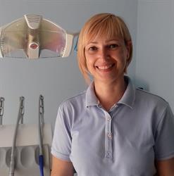 Oral- Design Srl, Alessandria orari di apertura