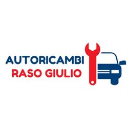 Autoricambi Raso Giulio, Lamezia Terme orari di apertura