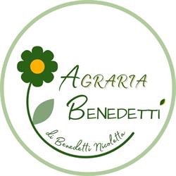 Agraria Benedetti, Aulla orari di apertura