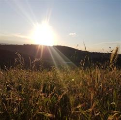 Agriturismo Il Boscone Barberino Tavarnelle, Barberino Val D'elsa - Orari di apertura