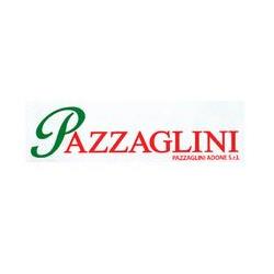 Pazzaglini Scatole e Imballaggi per Alimenti Pazzaglini Adone, Calenzano orari di apertura