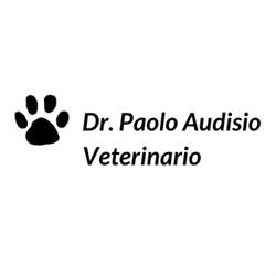 Dr. Paolo Audisio Veterinario, Beinasco orari di apertura