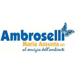 Ambroselli Maria Assunta Smaltimenti Rifiuti, Castelforte orari di apertura