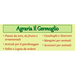 Agraria Il Germoglio, Capannori orari di apertura