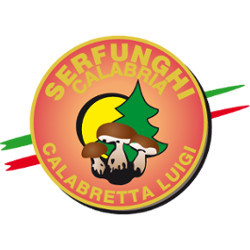 Serfunghi, Serra San Bruno orari di apertura