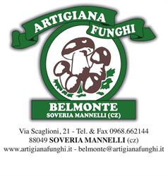 Artigiana Funghi Belmonte srl, Soveria Mannelli orari di apertura
