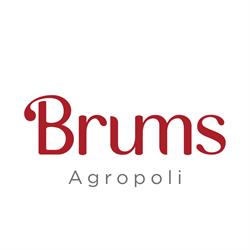 Brums, Agropoli orari di apertura