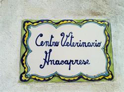 Centro Veterinario Anacaprese, Anacapri orari di apertura