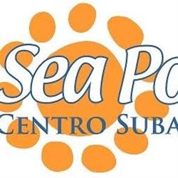 Sea Point Srl, Bacoli orari di apertura