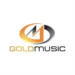 Gold Music S.r.l., Bruino orari di apertura