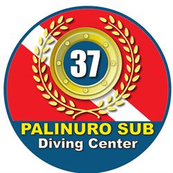 Palinuro Sub Diving Center Sas Di Serena Coraggioso, orari di apertura