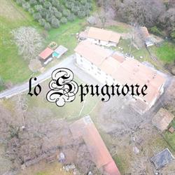 Lo Spugnone Osteria & Camere, Bagni San Filippo orari di apertura