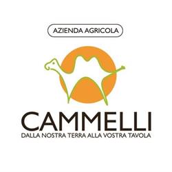 Az. Agricola Cammelli Di Cammelli Luciano e C. S. S., Firenze orari di apertura