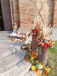 Fiorista Pensieri In Fiore Di Biglia Elisa, Gabiano orari di apertura