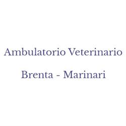 Ambulatorio Veterinario Brenta - Marinari, Moncalieri orari di apertura