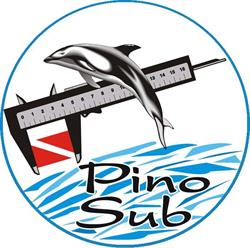 Pino Sub Sas Di Polverini Elisabetta Riparazioni Attrezzature Subacquee, Roma orari di apertura