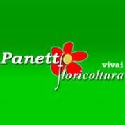 Floricoltura Panetto, Torino orari di apertura