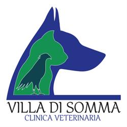 Villa di Somma, Arco felice orari di apertura