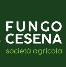 Azienda Agricola Fungo Cesena Societa' Semplice, orari di apertura